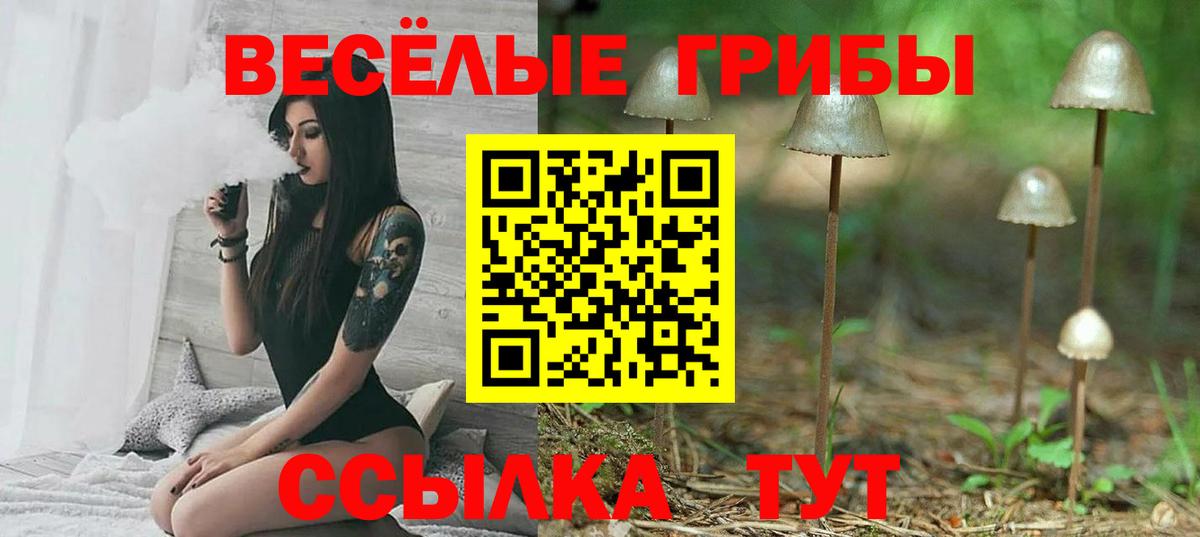 Галлюциногенные грибы Cubensis  Вход с VPN  Ярославль  Псилоцибиновые грибы Magic Shrooms 