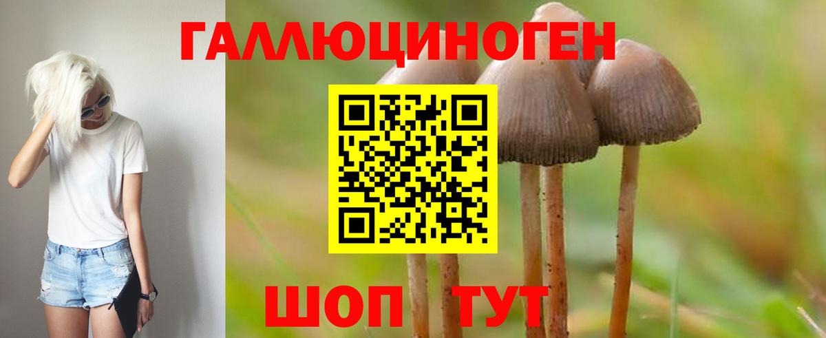 Псилоцибиновые грибы Psilocybine cubensis Ярославль